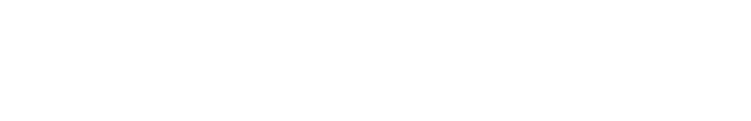 TIC Systems